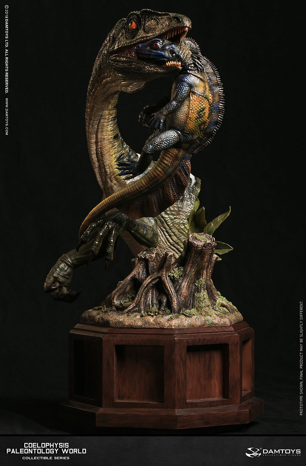 零元拍：DAMTOYS ：博物馆系列 - Coelophysis/腔骨龙 收藏级雕像