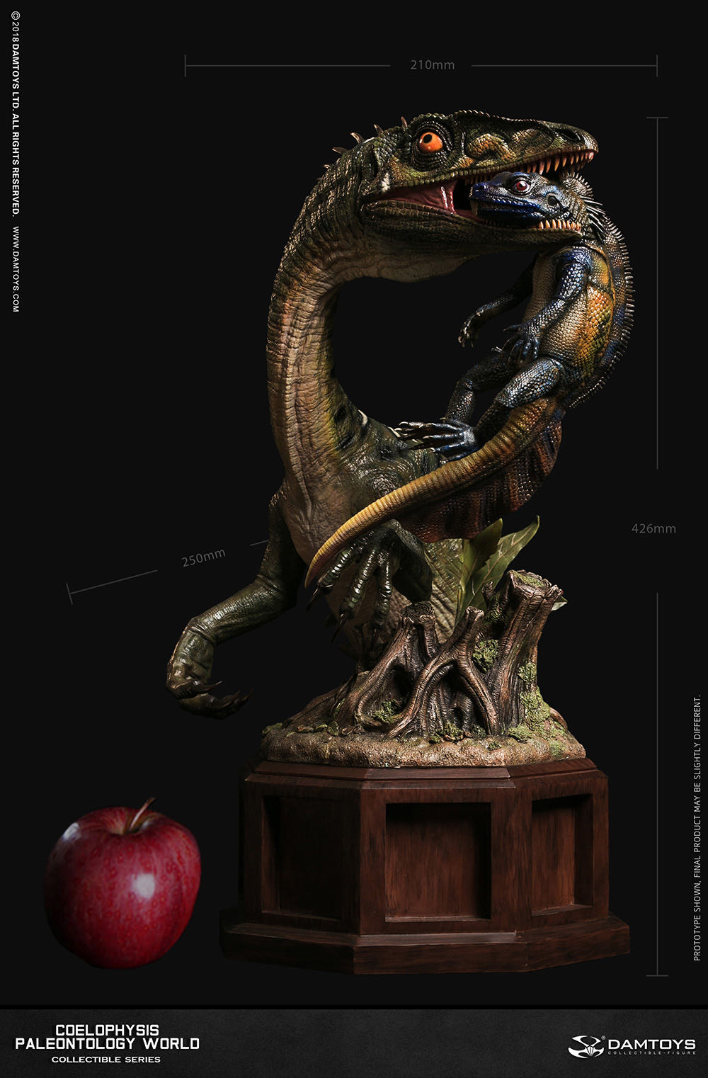 零元拍：DAMTOYS ：博物馆系列 - Coelophysis/腔骨龙 收藏级雕像