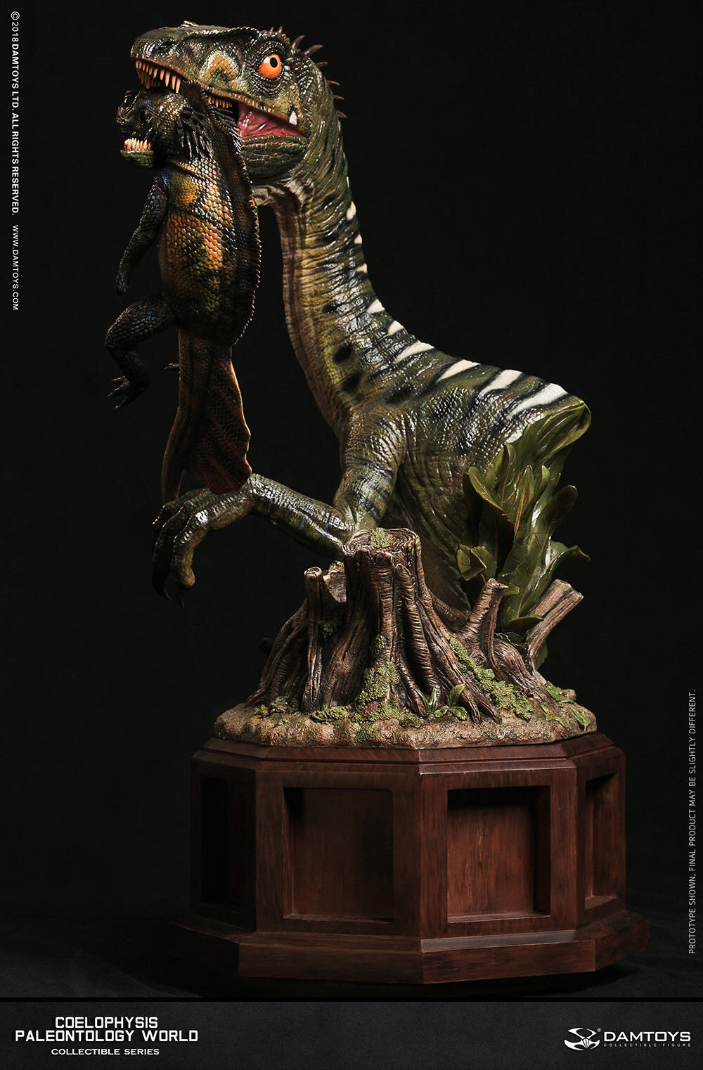 零元拍：DAMTOYS ：博物馆系列 - Coelophysis/腔骨龙 收藏级雕像