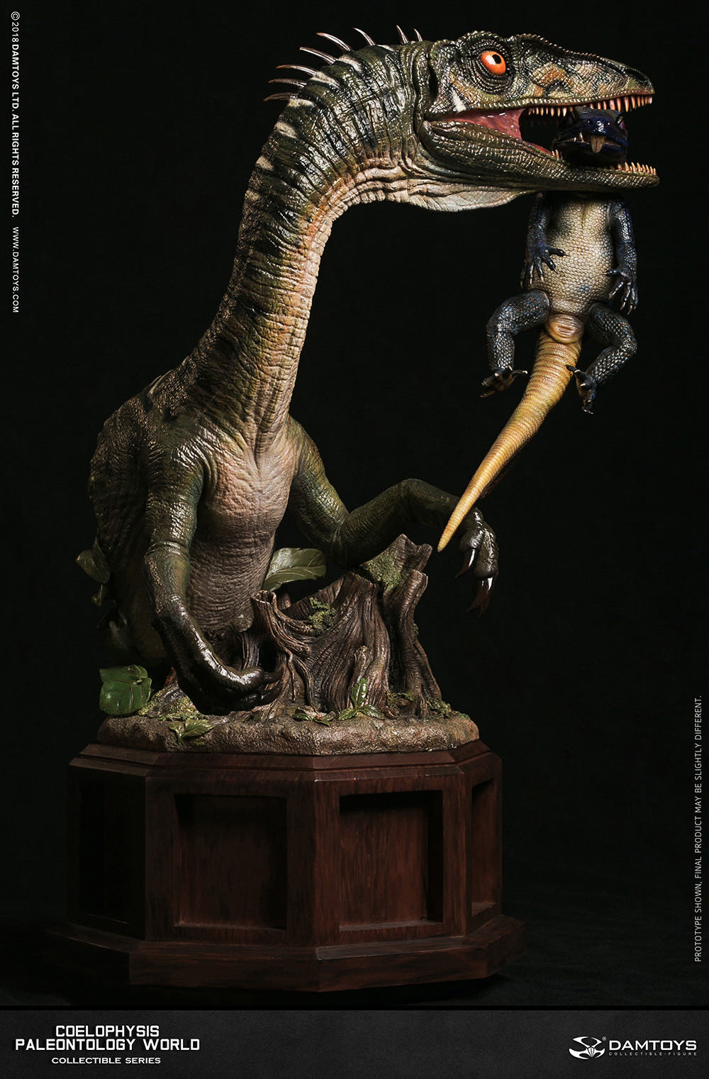 零元拍：DAMTOYS ：博物馆系列 - Coelophysis/腔骨龙 收藏级雕像