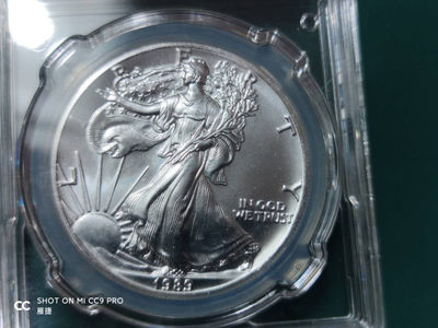 燕姐换藏第四十二场 1989年美国行走女神银币一盎司