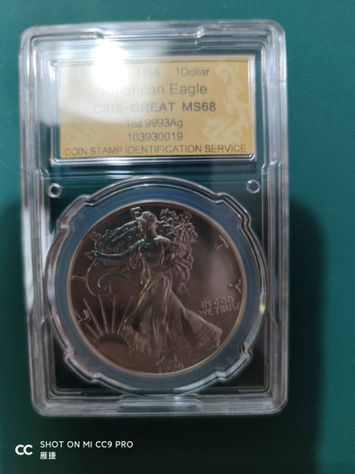 燕姐换藏第四十三场 1994年美国行走女神银币一盎司