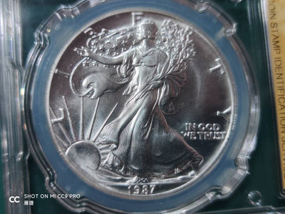 燕姐换藏第四十二场 1987年美国行走女神一盎司银币