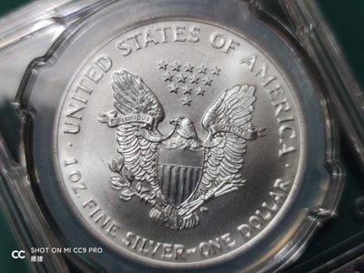 燕姐换藏第四十三场 1993年美国行走女神银币一盎司