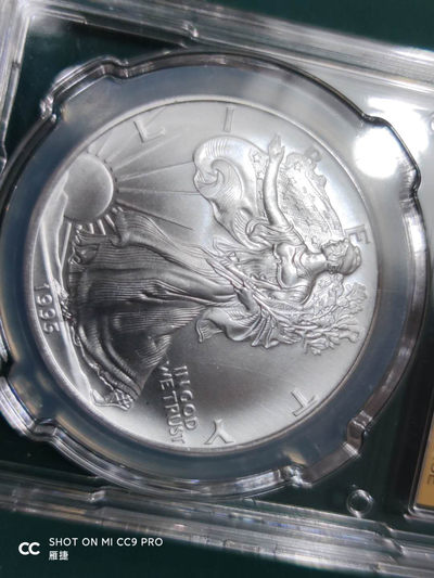 燕姐换藏第四十三场 1995年美国行走女神银币一盎司