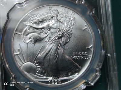 燕姐换藏第四十三场 1990年美国行走女神银币一盎司