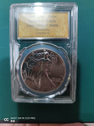 燕姐换藏第四十二场 1989年美国行走女神银币一盎司