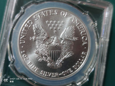 燕姐换藏第四十二场 1989年美国行走女神银币一盎司