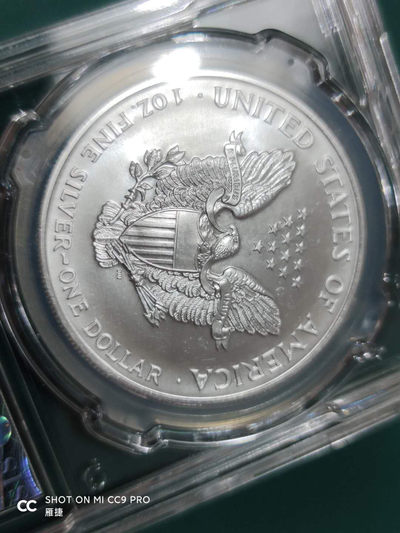 燕姐换藏第四十三场 1995年美国行走女神银币一盎司