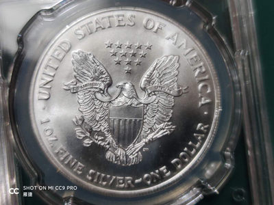 燕姐换藏第四十三场 1994年美国行走女神银币一盎司