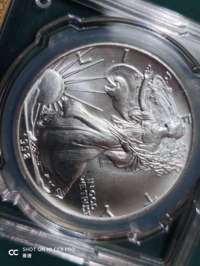 燕姐换藏第四十三场 1992年美国行走女神银币一盎司