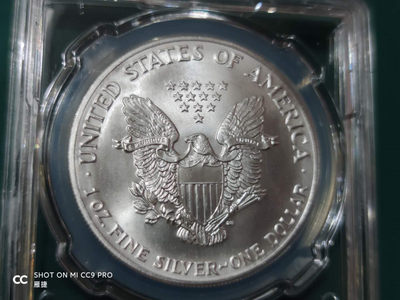 燕姐换藏第四十三场 1990年美国行走女神银币一盎司