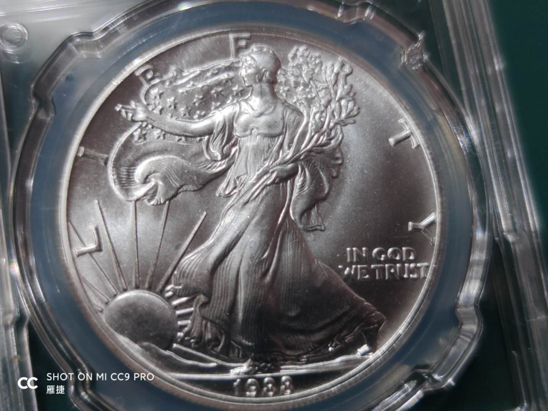 燕姐换藏第四十二场 1988年美国行走女神银币一盎司
