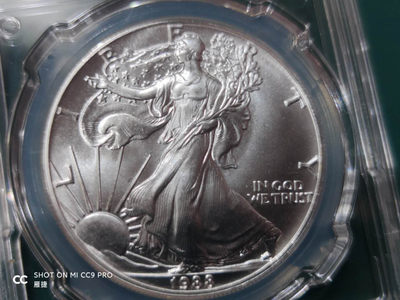 燕姐换藏第四十二场 1988年美国行走女神银币一盎司