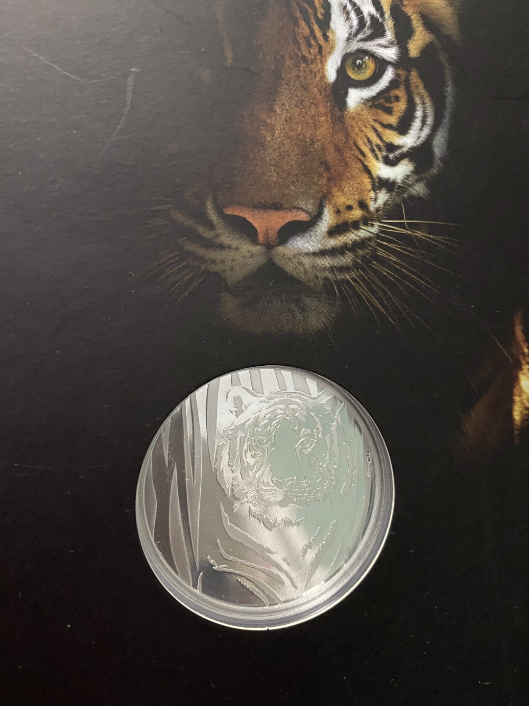 CSIS-GREAT评级精品钱币拍卖第九十期 蒙古 2019隐秘猎手 老虎银币 卡币