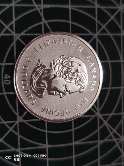 燕姐换藏第四十三场 2017年加拿大半盎司银币
