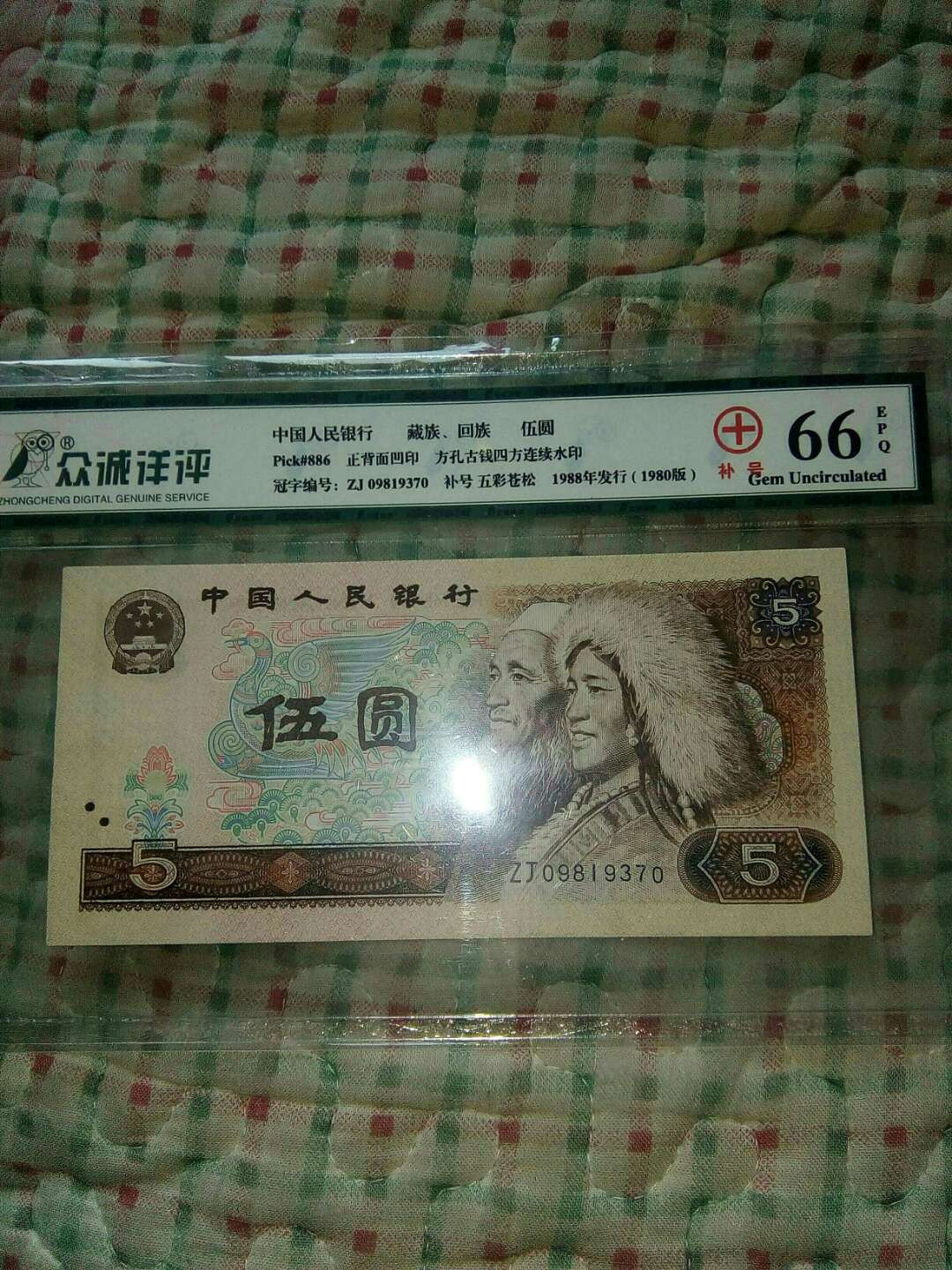 珍品收藏(系统自动拍卖) 805珍稀五彩苍松补号！80荧光币王补号！靓号！