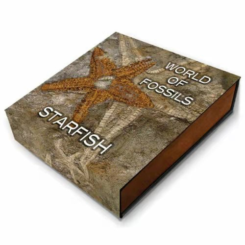 【北京CICE专拍】【币观天下】第148场钱币拍卖～ 纽埃2019年2元，2盎司 龙头币 超高浮雕 仿古 镀金，世界化石系列(1)-“海星”超高浮雕仿古镀金彩色精制银币