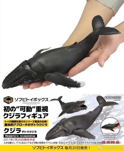 零元拍：海洋堂 海洋生物系列KAIYODO SOFUBI TOY BOX 013 WHALES 鲸鱼 座头鲸，全新未拆。 - 零元拍：海洋堂 海洋生物系列KAIYODO SOFUBI TOY BOX 013 WHALES 鲸鱼 座头鲸，全新未拆。