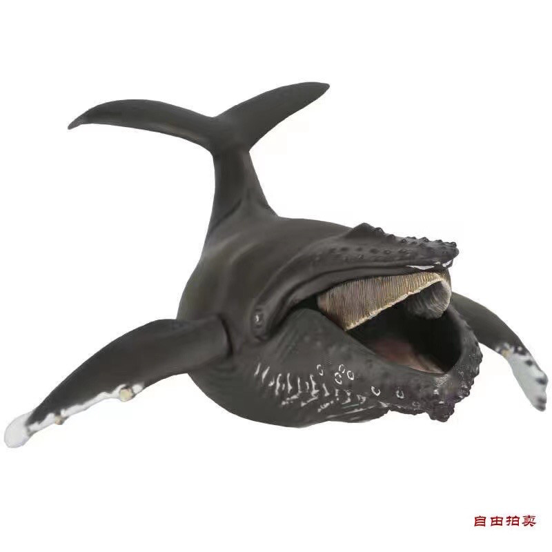 零元拍：海洋堂 海洋生物系列KAIYODO SOFUBI TOY BOX 013 WHALES 鲸鱼 座头鲸，全新未拆。