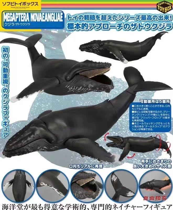 零元拍：海洋堂 海洋生物系列KAIYODO SOFUBI TOY BOX 013 WHALES 鲸鱼 座头鲸，全新未拆。