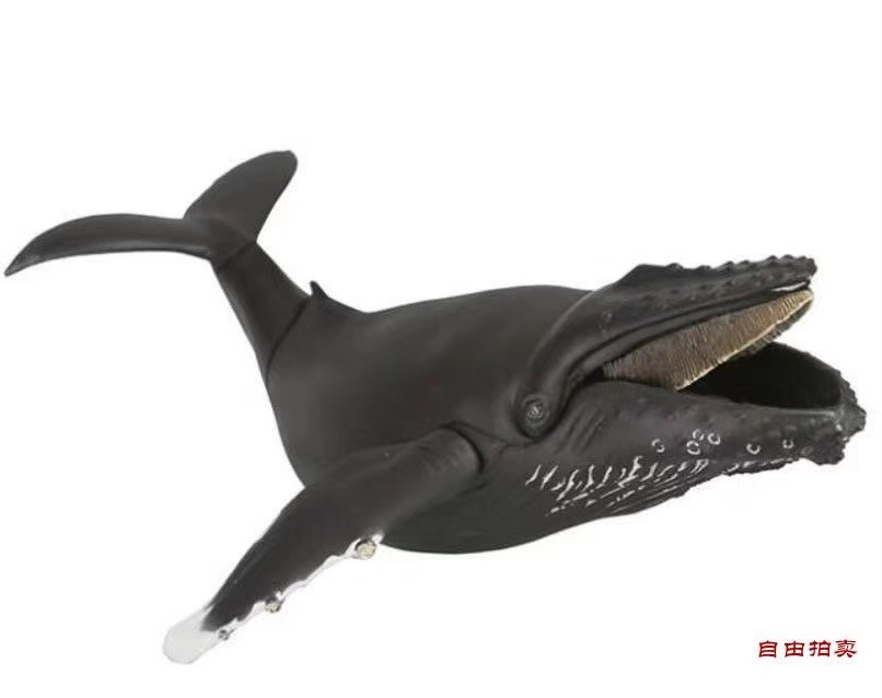零元拍：海洋堂 海洋生物系列KAIYODO SOFUBI TOY BOX 013 WHALES 鲸鱼 座头鲸，全新未拆。