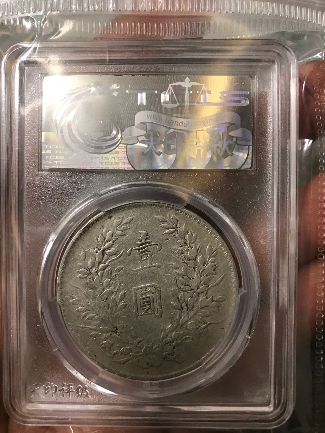 缤纷开心拍368期，鸽子必暴光 十年大头一枚，价值洼地