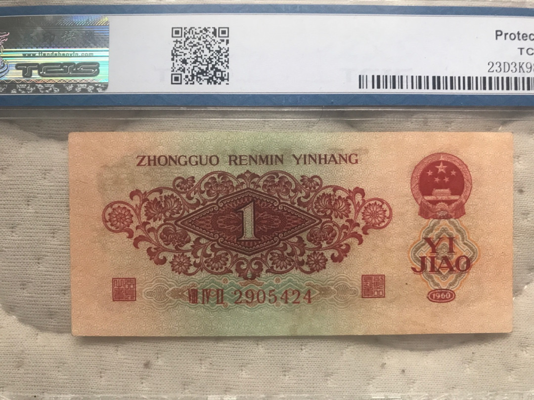 缤纷拍第374期 枣红一张