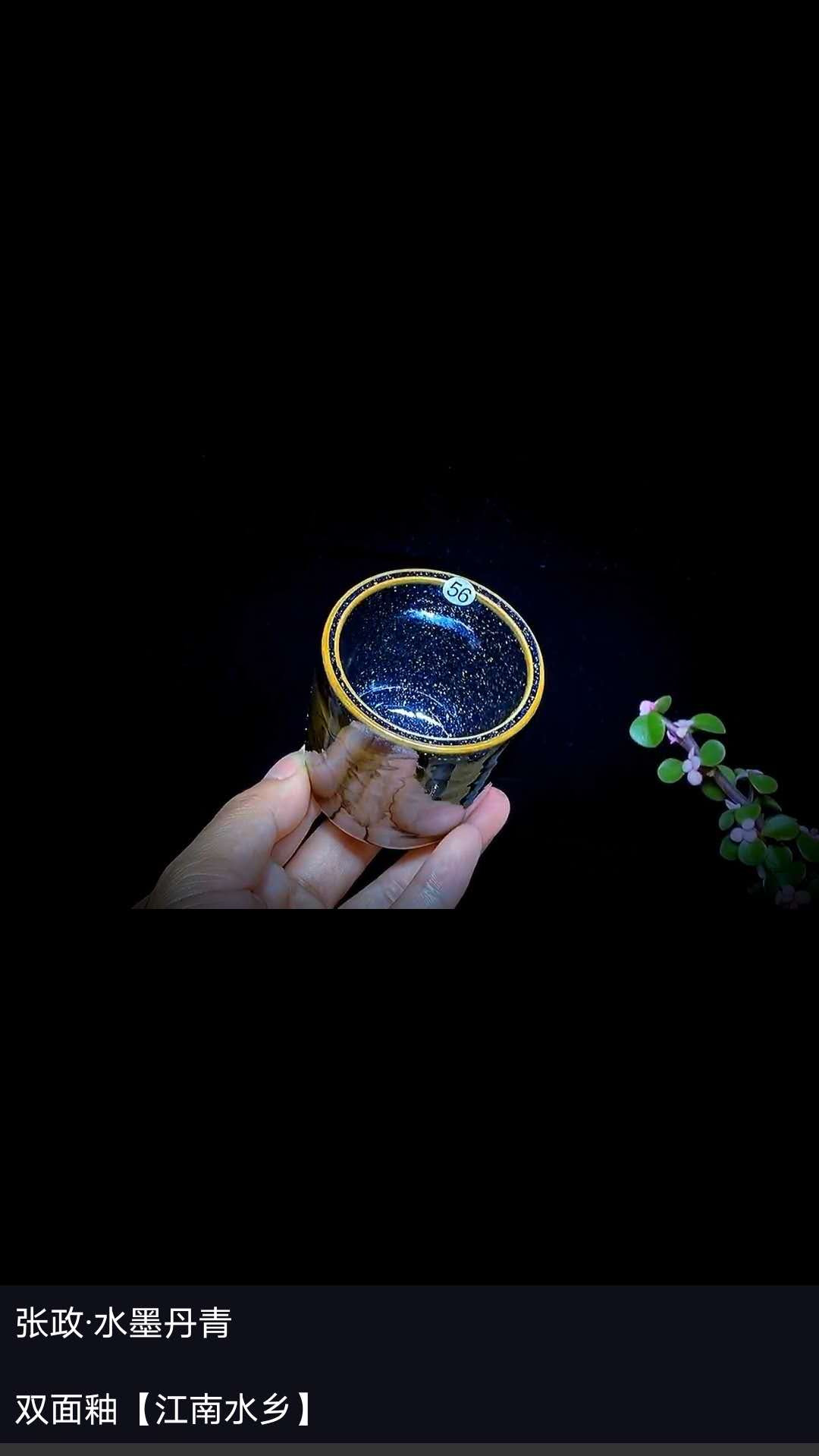 高级工艺师张政
