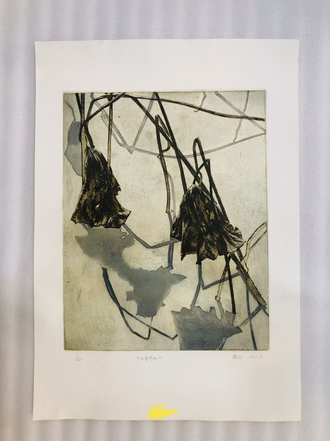 书间精灵每日一拍004号-青年版画家李昊伦版画原作《夕阳残荷之一》