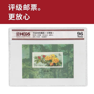 T162M杜鹃花小型张邮票 封装邮票 评级邮票 - T162M杜鹃花小型张邮票 封装邮票 评级邮票