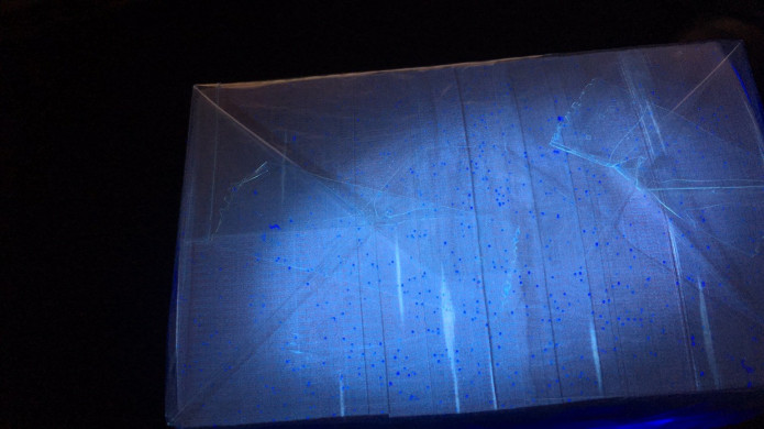 【华誉王者】1683期拍卖 961绝品捆 WF35208001-9000