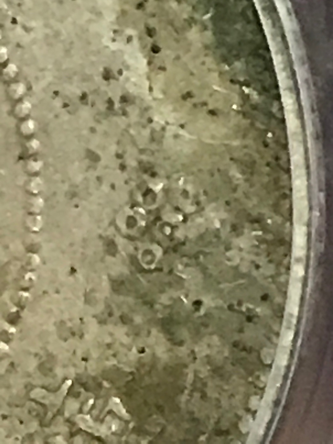 缤纷快乐拍第363期，鸽子自重 云南半圆龙四空圈，梅花带点版一枚，龙洋中的价值洼地，全龙鳞百年老彩，少见的酱头彩