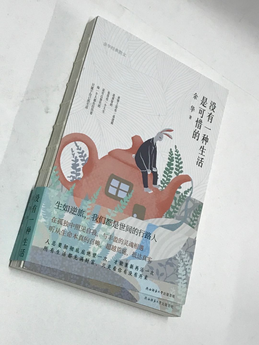 零元拍：著名作家 余华老师亲笔签名著书《没有一种生活是可惜的》