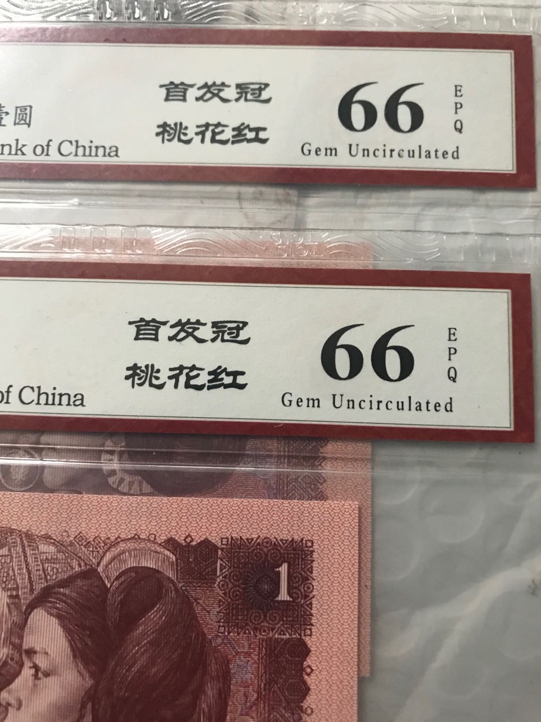 缤纷开心拍368期，鸽子必暴光 961首发CP两张