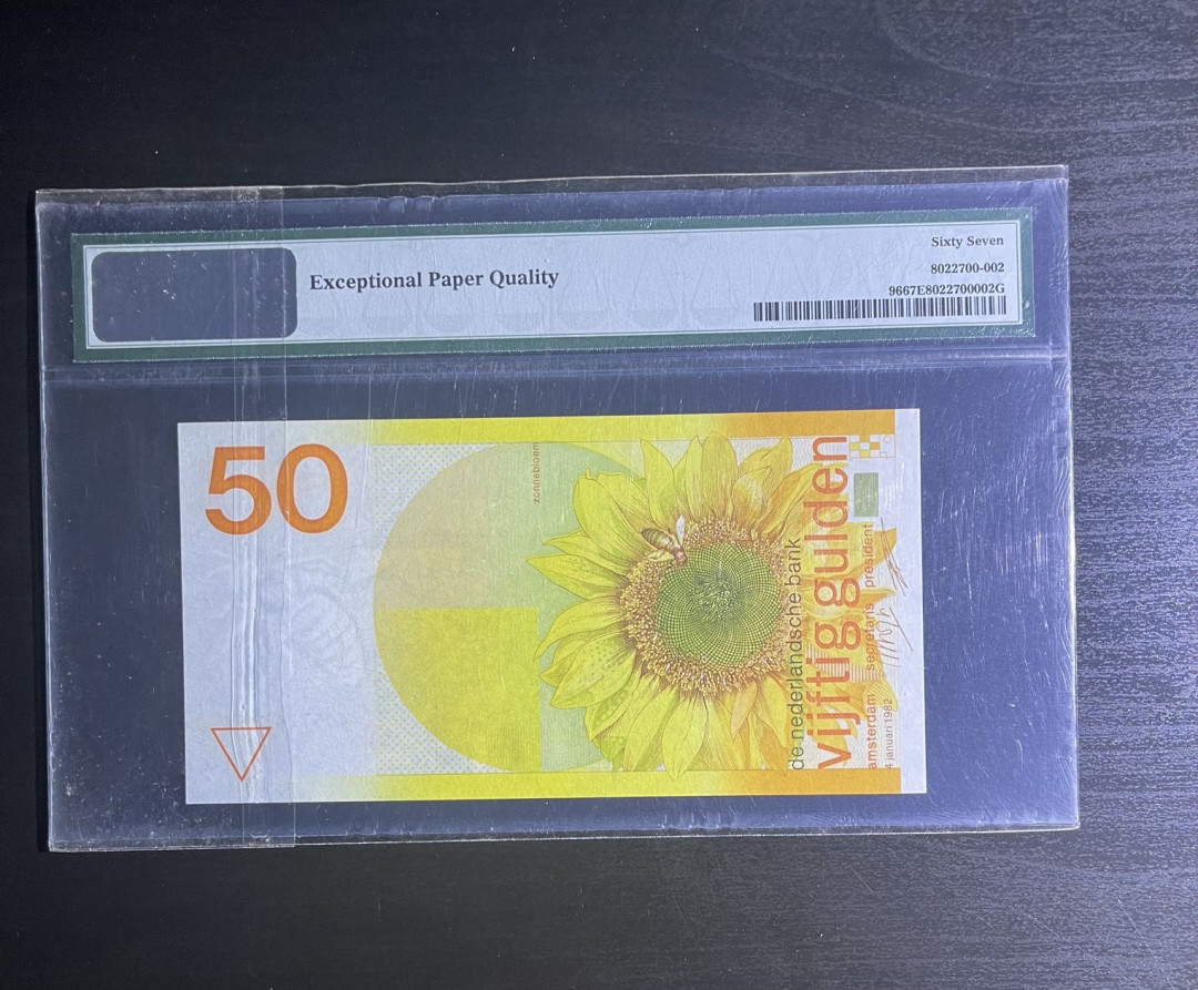 丑猫0711(爱藏与pmg) 荷兰盾向日葵