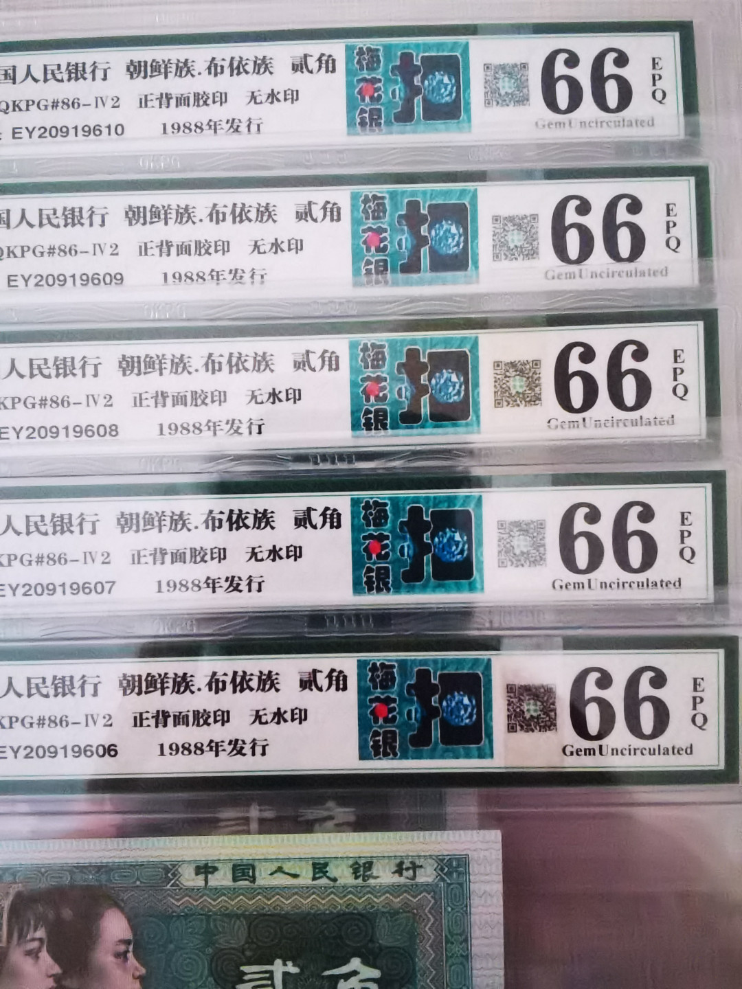 千家情思，老金团拍！个人最为看重的镇店之宝！超密丝高端货！yo6887！可以说是超密丝里的极品，金字塔尖的明珠！目测250丝起！有没300丝的老铁们自己数！961yo荧光丝的绝品太难得，高分凤毛麟角！  人间极品！扣下芳华！总量只有800余枚，开标一年多没有新增一张的，梅花银扣！一星级EY冠，无47人四靓号，钱坤高分评级！机会不常有，捡漏来千家，旨在打造全世界最为纯净的拍场！ 千家镇店宝！总量只有800余枚，开标一年多没有新增一张的，梅花银扣！一星级EY20919624，无47，钱坤评级67分冠军分！