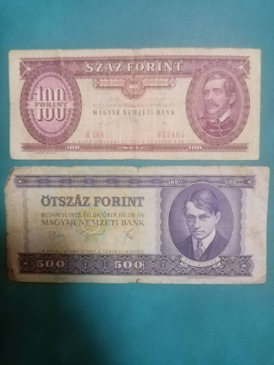 外国纸币普通品相拍场—1 - 匈牙利纸币