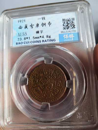 塞外藏品藏币铜币大烩粹 - 西藏铜币横雪康有点版