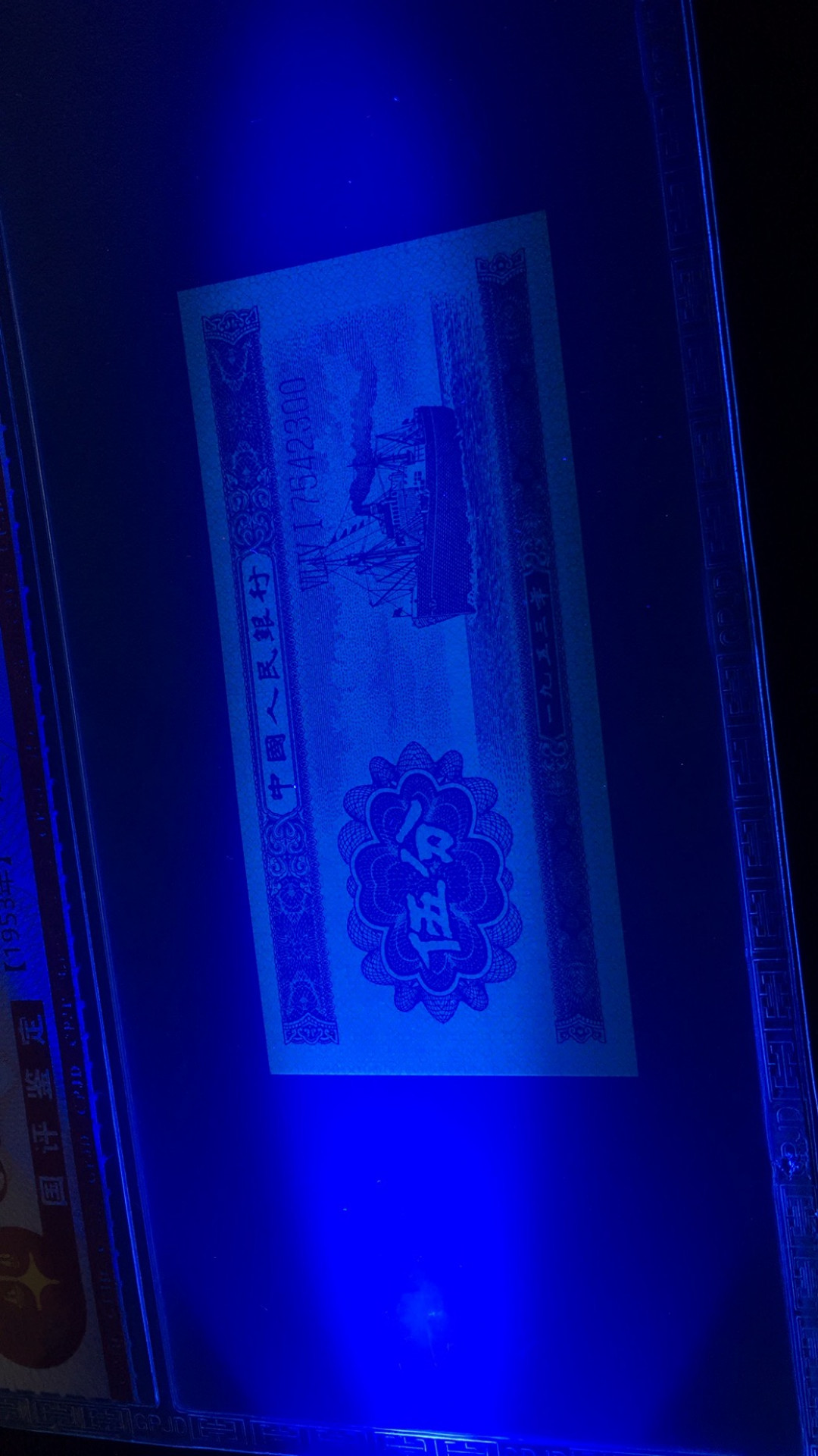 【华誉王者】1708期拍卖 长号五分双尾 国评 741-7542300