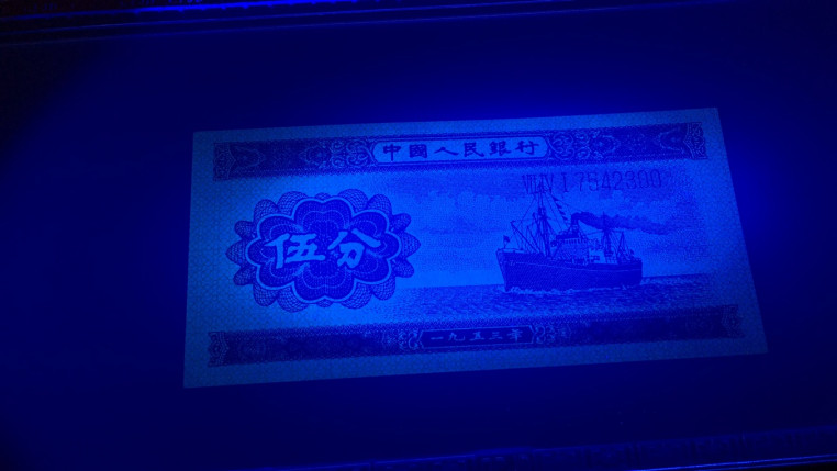 【华誉王者】1708期拍卖 长号五分双尾 国评 741-7542300