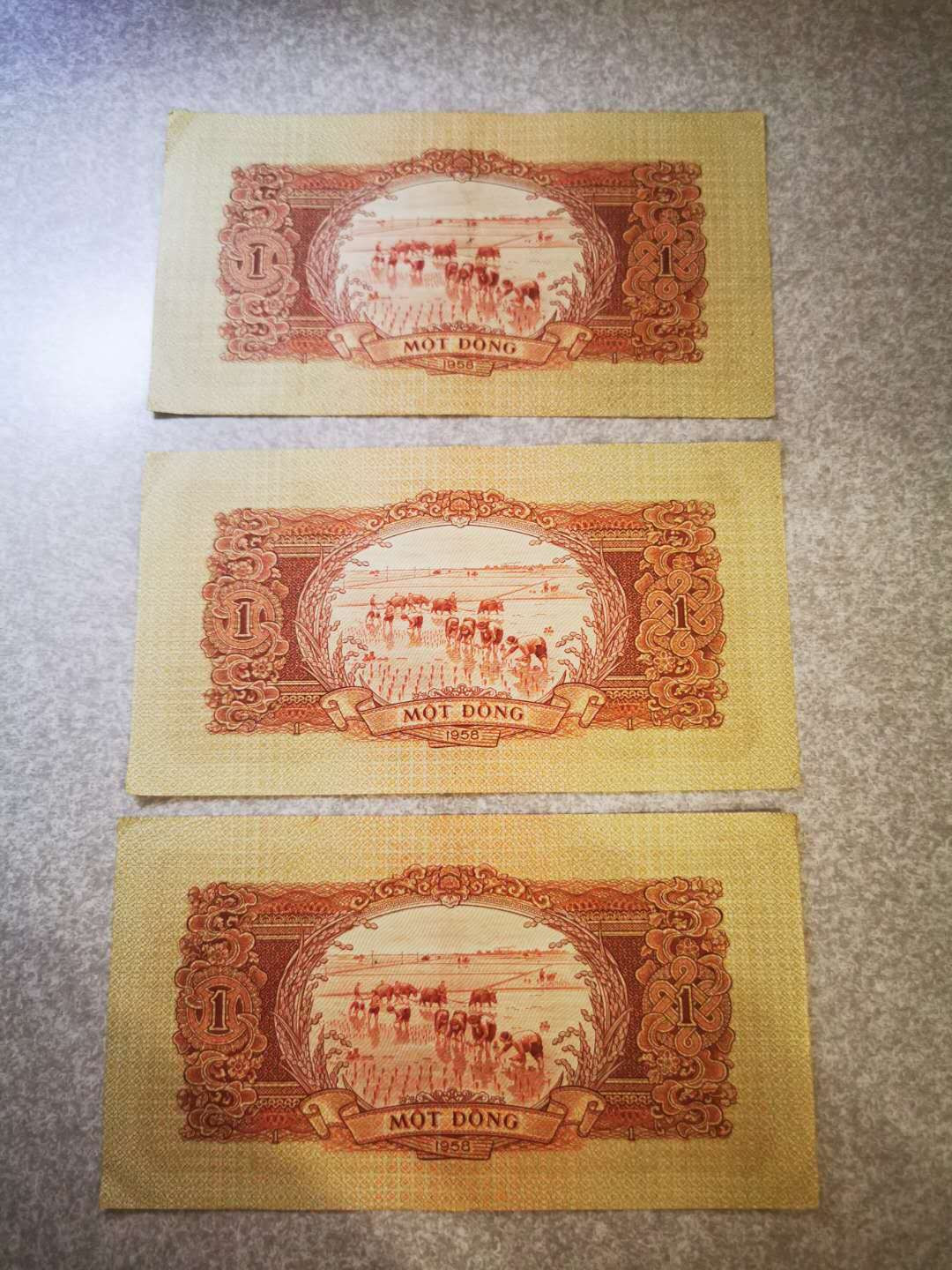 【鲸贝乐淘★自动结拍】千字文·第“欣奏累遣，戚谢欢招”号拍卖·两拍包邮 【中国代印★越南】1958年1盾三张，AUNC ，中间软折