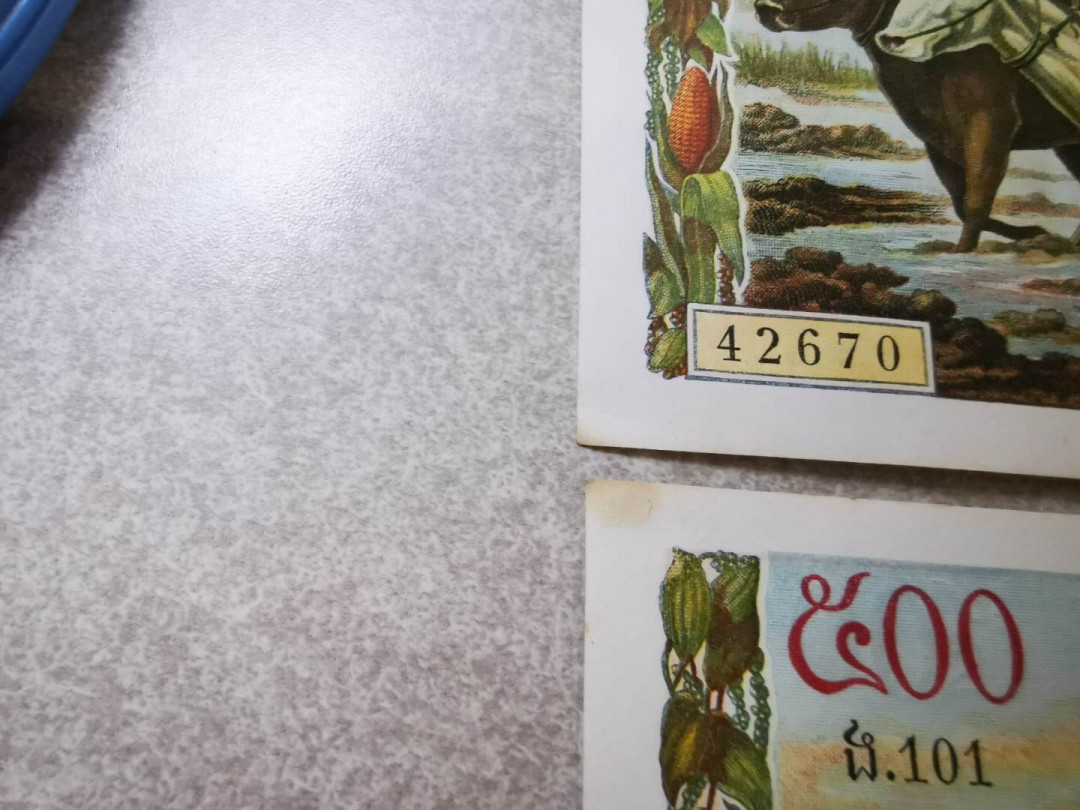 【鲸贝乐淘★自动结拍】千字文·第“欣奏累遣，戚谢欢招”号拍卖·两拍包邮 【柬埔寨🇰🇭 】大耕牛两张，大票幅精美，没有折痕，有黄斑角钝，难得好品相