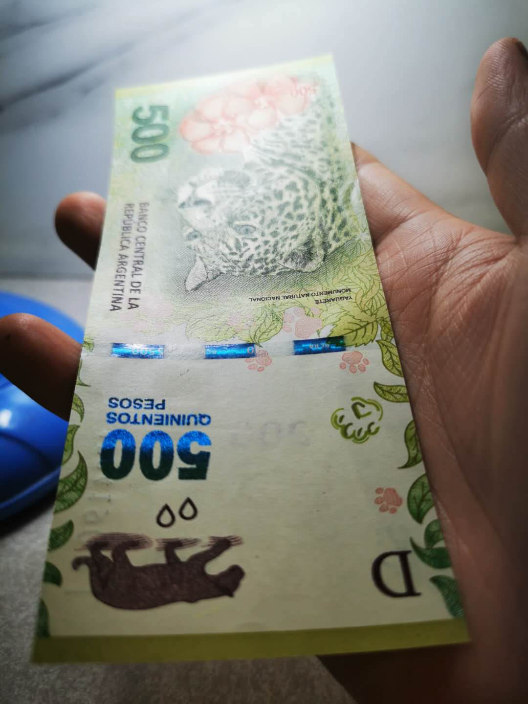 【鲸贝乐淘★自动结拍】千字文·第“欣奏累遣，戚谢欢招”号拍卖·两拍包邮 【阿根廷🇦🇷 】500比索，猎豹，全新全品UNC 