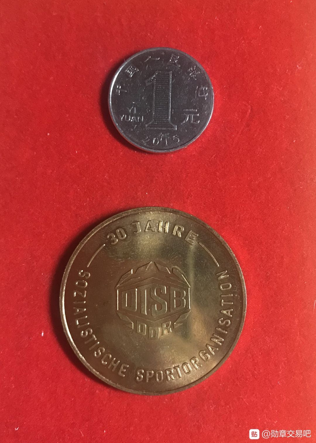 索科洛夫斯基·苏联-保加利亚小拍No.6 德国纪念奖章