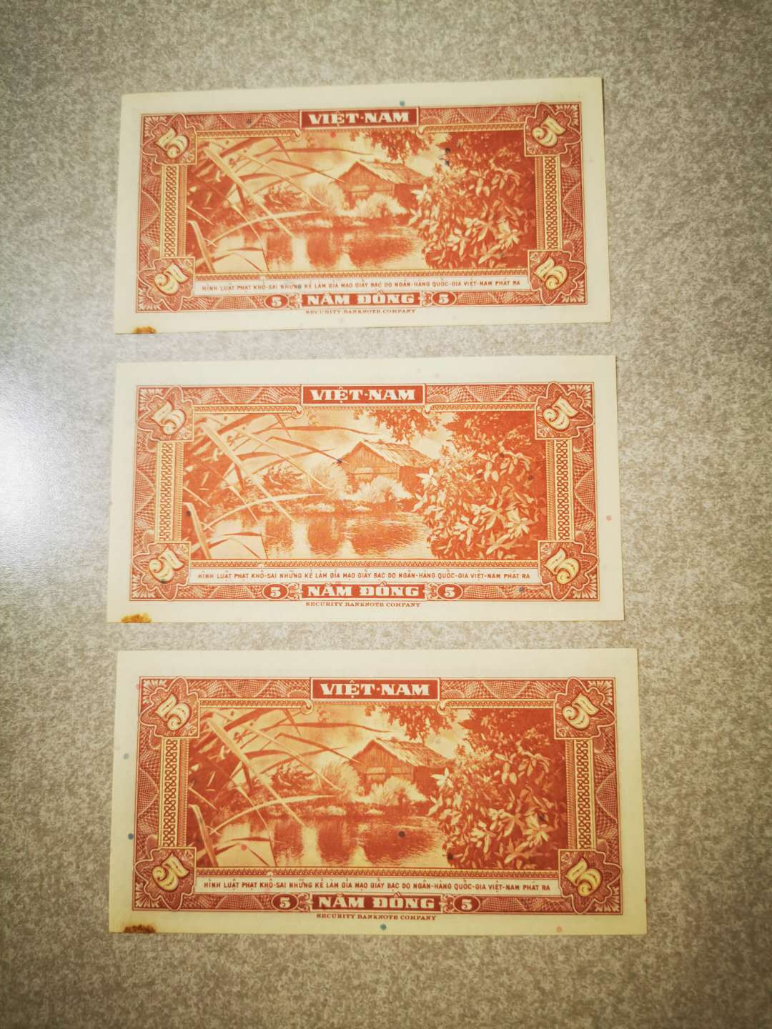 【鲸贝乐淘★自动结拍】千字文·第“渠荷的历，园莽抽条”号拍卖，两拍包邮 【越南🇻🇳 】1955年5盾3张，无折痕有黄斑AUNC ，满版防伪斑