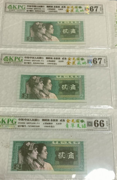 8002金光国徽＋金屋藏娇BZ、三标带纤丝FW，金光国徽＋青翠美绿色FZ