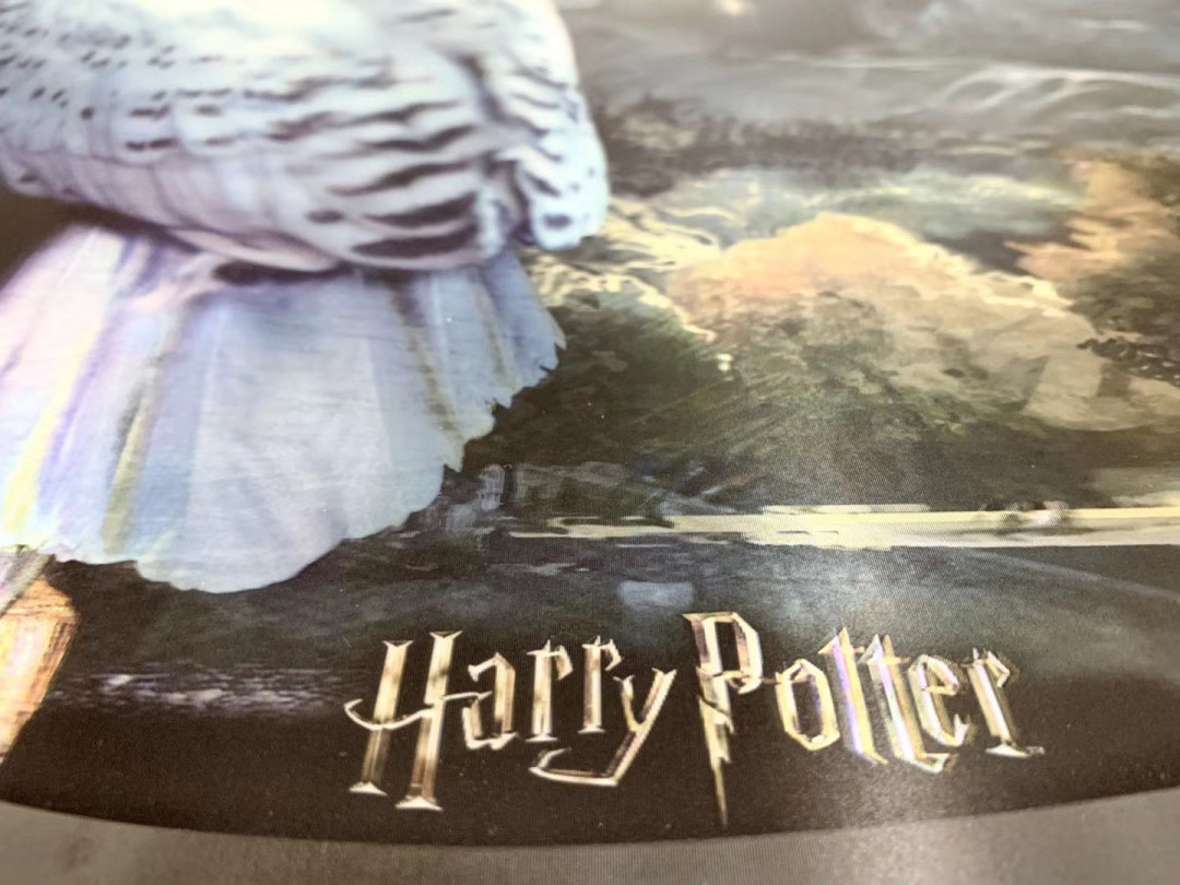 零元拍：哈利波特 系列3D 立体画 哈利波特的魔法猫头鹰海德薇