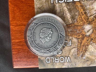 【随心拍&Getcoins】钱币拍卖九十四期～  【纽埃】纽埃2019年2元，2盎司 龙头币 超高浮雕 仿古 镀金，世界化石系列(1)-“海星”超高浮雕仿古镀金彩色精制银币