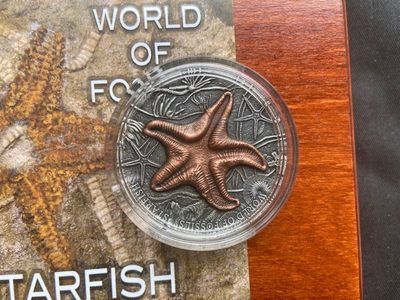 【随心拍&Getcoins】钱币拍卖九十四期～  【纽埃】纽埃2019年2元，2盎司 龙头币 超高浮雕 仿古 镀金，世界化石系列(1)-“海星”超高浮雕仿古镀金彩色精制银币